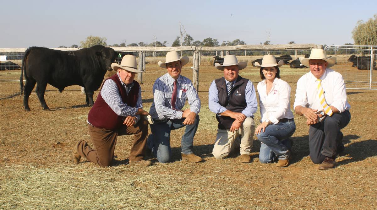 2018-Bull-Sale-QCL