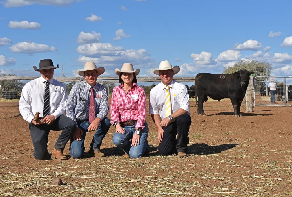 2019-Bull-Sale-QCL